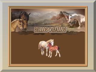 bellos-caballos.pps