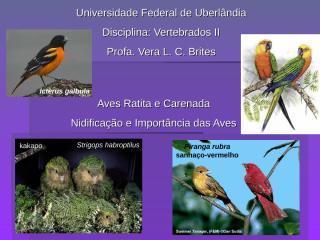 Aula 9 - Importancia das aves, nidificação e Migração.ppt